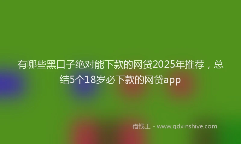 有哪些黑口子绝对能下款的网贷2025年推荐，总结5个18岁必下款的网贷app