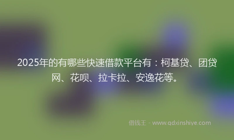 2025年的有哪些快速借款平台有：柯基贷、团贷网、花呗、拉卡拉、安逸花等。