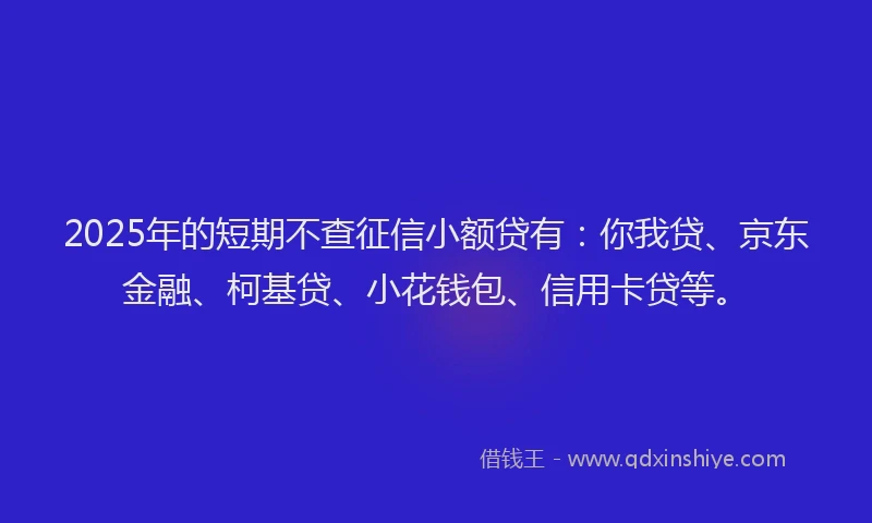 2025年的短期不查征信小额贷有：你我贷、京东金融、柯基贷、小花钱包、信用卡贷等。