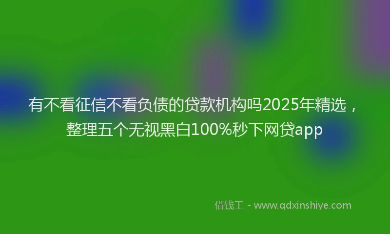 有不看征信不看负债的贷款机构吗2025年精选，整理五个无视黑白100%秒下网贷app