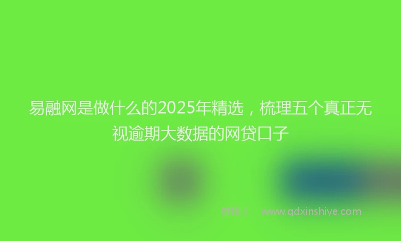 易融网是做什么的2025年精选，梳理五个真正无视逾期大数据的网贷口子