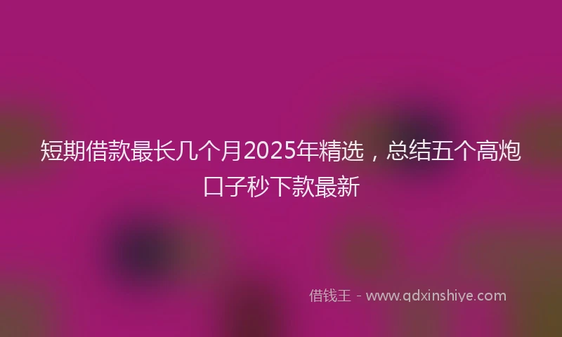短期借款最长几个月2025年精选，总结五个高炮口子秒下款最新