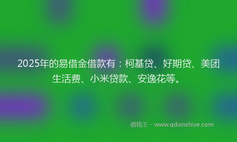 2025年的易借金借款有：柯基贷、好期贷、美团生活费、小米贷款、安逸花等。