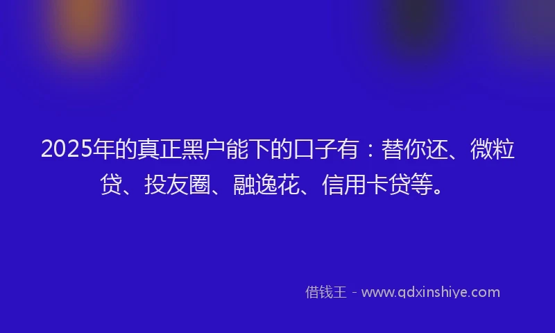 2025年的真正黑户能下的口子有：替你还、微粒贷、投友圈、融逸花、信用卡贷等。