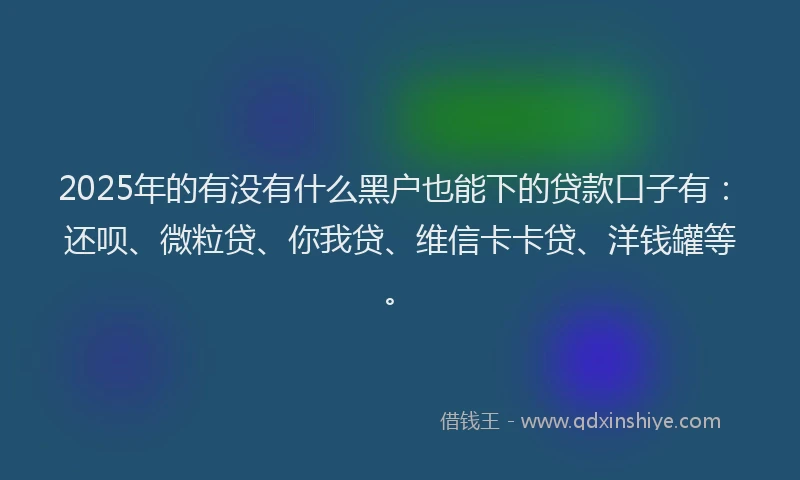 2025年的有没有什么黑户也能下的贷款口子有：还呗、微粒贷、你我贷、维信卡卡贷、洋钱罐等。