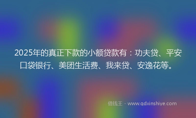 2025年的真正下款的小额贷款有：功夫贷、平安口袋银行、美团生活费、我来贷、安逸花等。