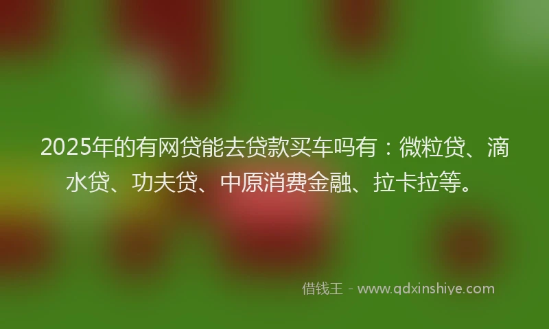 2025年的有网贷能去贷款买车吗有：微粒贷、滴水贷、功夫贷、中原消费金融、拉卡拉等。
