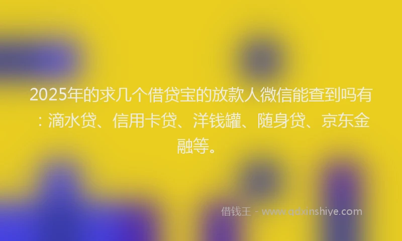 2025年的求几个借贷宝的放款人微信能查到吗有：滴水贷、信用卡贷、洋钱罐、随身贷、京东金融等。