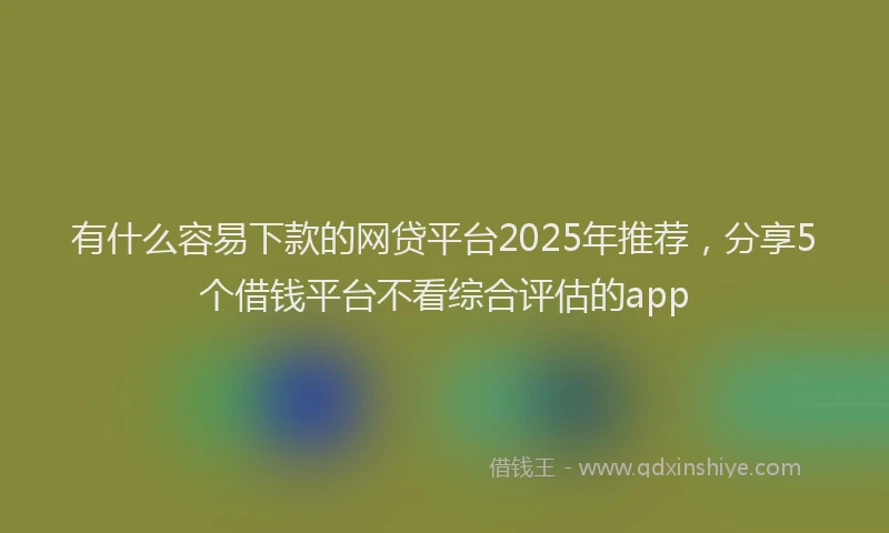 有什么容易下款的网贷平台2025年推荐，分享5个借钱平台不看综合评估的app