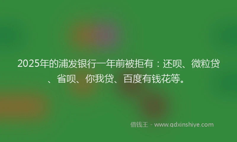 2025年的浦发银行一年前被拒有：还呗、微粒贷、省呗、你我贷、百度有钱花等。