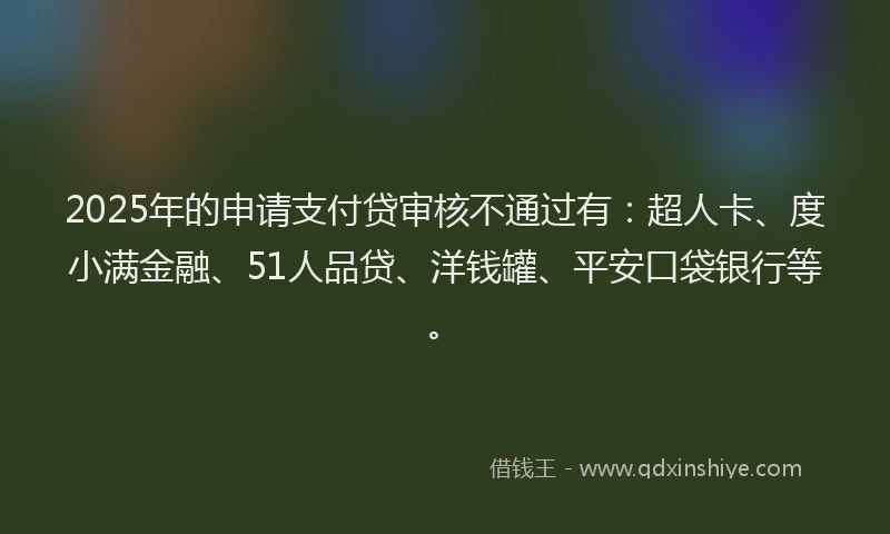 2025年的申请支付贷审核不通过有：超人卡、度小满金融、51人品贷、洋钱罐、平安口袋银行等。