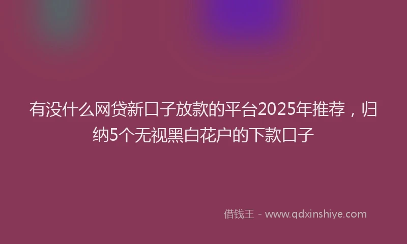 有没什么网贷新口子放款的平台2025年推荐，归纳5个无视黑白花户的下款口子