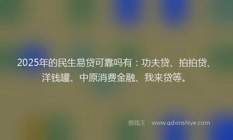 2025年的民生易贷可靠吗有：功夫贷、拍拍贷、洋钱罐、中原消费金融、我来贷等。