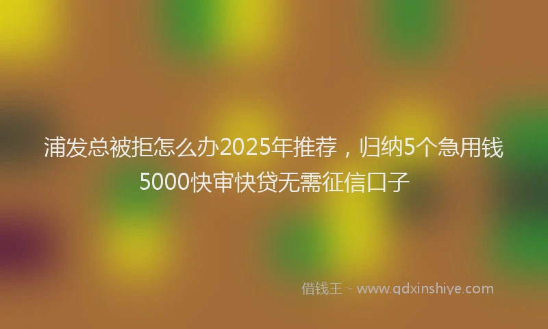 浦发总被拒怎么办2025年推荐，归纳5个急用钱5000快审快贷无需征信口子