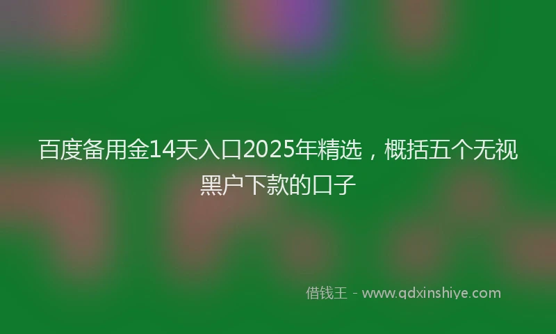 百度备用金14天入口2025年精选，概括五个无视黑户下款的口子