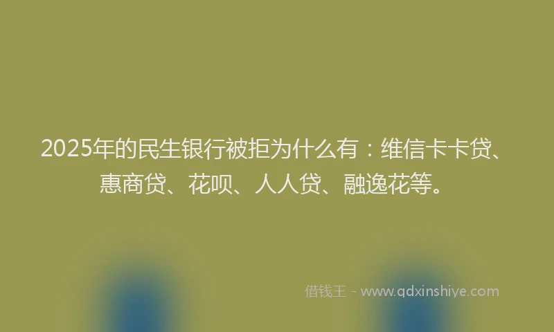 2025年的民生银行被拒为什么有：维信卡卡贷、惠商贷、花呗、人人贷、融逸花等。