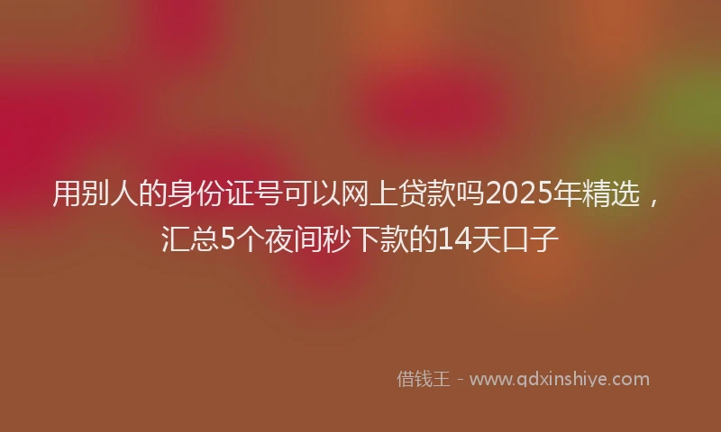 用别人的身份证号可以网上贷款吗2025年精选，汇总5个夜间秒下款的14天口子