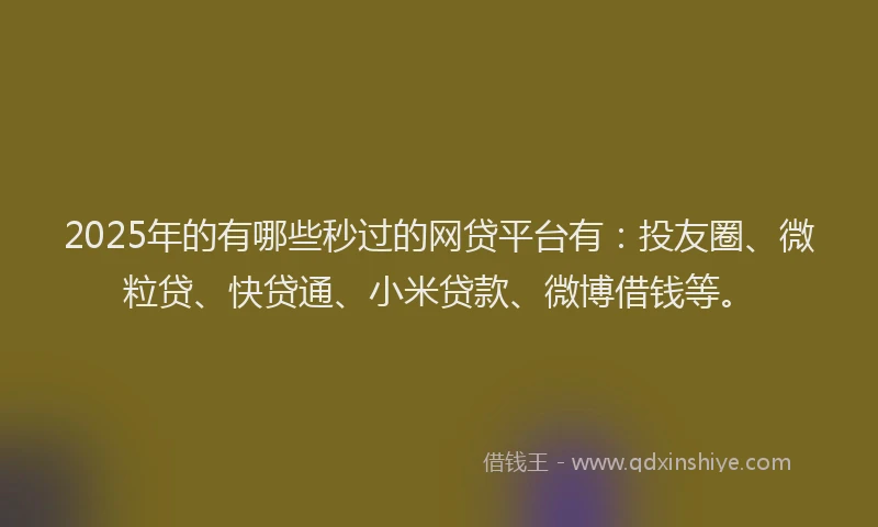 2025年的有哪些秒过的网贷平台有：投友圈、微粒贷、快贷通、小米贷款、微博借钱等。