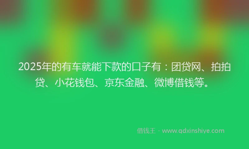 2025年的有车就能下款的口子有：团贷网、拍拍贷、小花钱包、京东金融、微博借钱等。