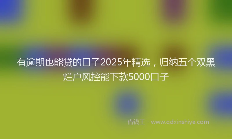 有逾期也能贷的口子2025年精选，归纳五个双黑烂户风控能下款5000口子