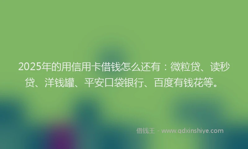 2025年的用信用卡借钱怎么还有：微粒贷、读秒贷、洋钱罐、平安口袋银行、百度有钱花等。