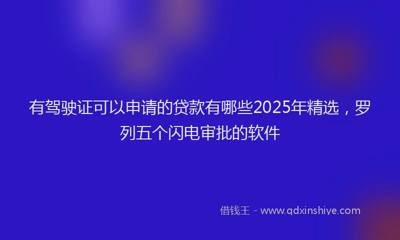 有驾驶证可以申请的贷款有哪些2025年精选，罗列五个闪电审批的软件