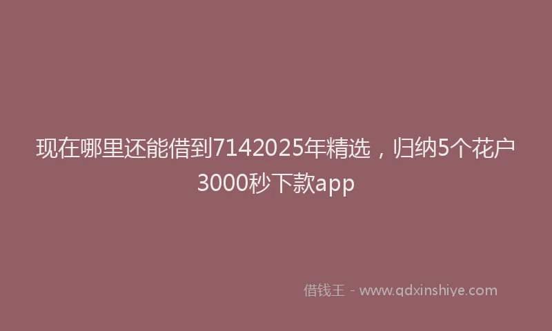 现在哪里还能借到7142025年精选，归纳5个花户3000秒下款app