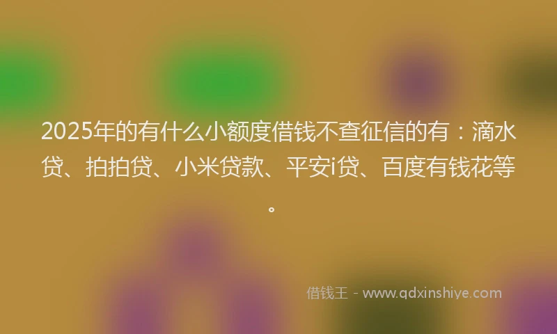 2025年的有什么小额度借钱不查征信的有：滴水贷、拍拍贷、小米贷款、平安i贷、百度有钱花等。