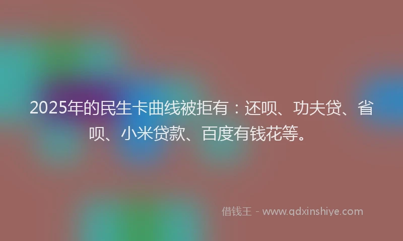 2025年的民生卡曲线被拒有：还呗、功夫贷、省呗、小米贷款、百度有钱花等。
