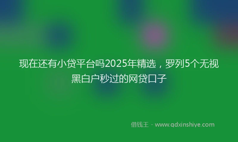 现在还有小贷平台吗2025年精选，罗列5个无视黑白户秒过的网贷口子