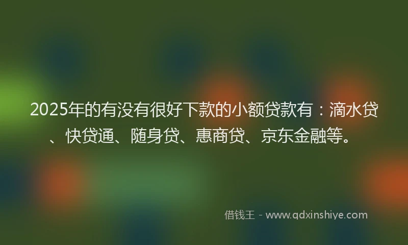 2025年的有没有很好下款的小额贷款有：滴水贷、快贷通、随身贷、惠商贷、京东金融等。