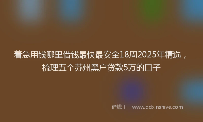 着急用钱哪里借钱最快最安全18周2025年精选，梳理五个苏州黑户贷款5万的口子