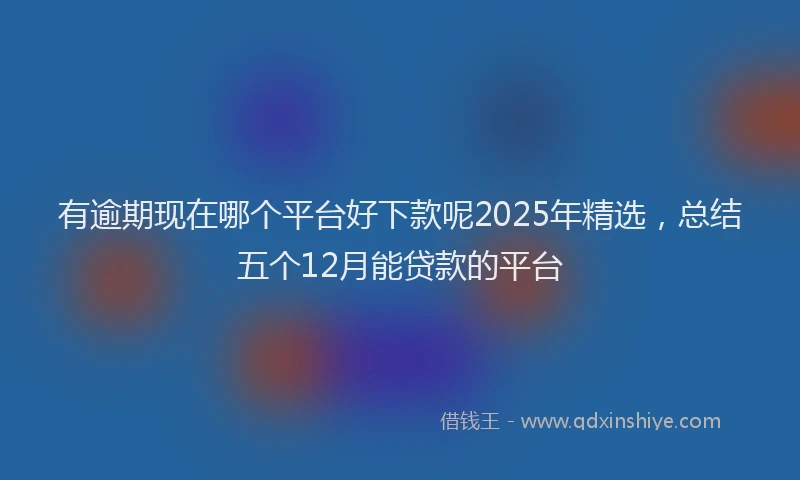有逾期现在哪个平台好下款呢2025年精选，总结五个12月能贷款的平台