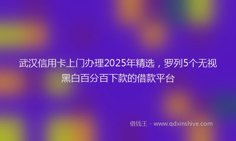 武汉信用卡上门办理2025年精选，罗列5个无视黑白百分百下款的借款平台