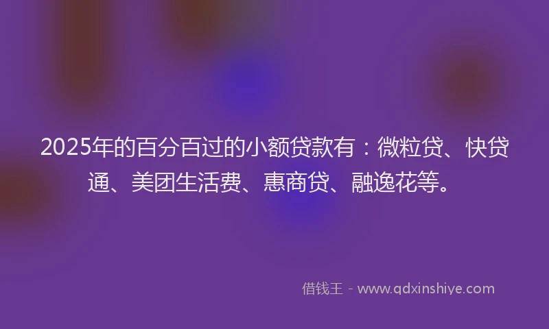 2025年的百分百过的小额贷款有：微粒贷、快贷通、美团生活费、惠商贷、融逸花等。