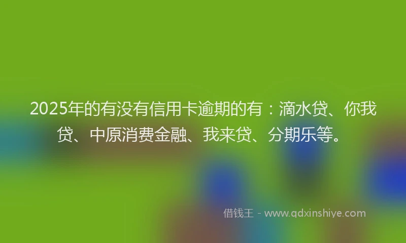 2025年的有没有信用卡逾期的有：滴水贷、你我贷、中原消费金融、我来贷、分期乐等。
