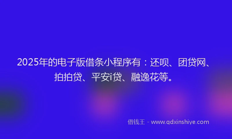 2025年的电子版借条小程序有：还呗、团贷网、拍拍贷、平安i贷、融逸花等。