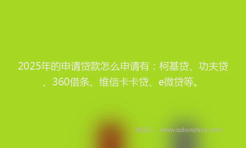 2025年的申请贷款怎么申请有：柯基贷、功夫贷、360借条、维信卡卡贷、e微贷等。