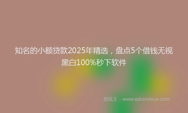 知名的小额贷款2025年精选，盘点5个借钱无视黑白100%秒下软件