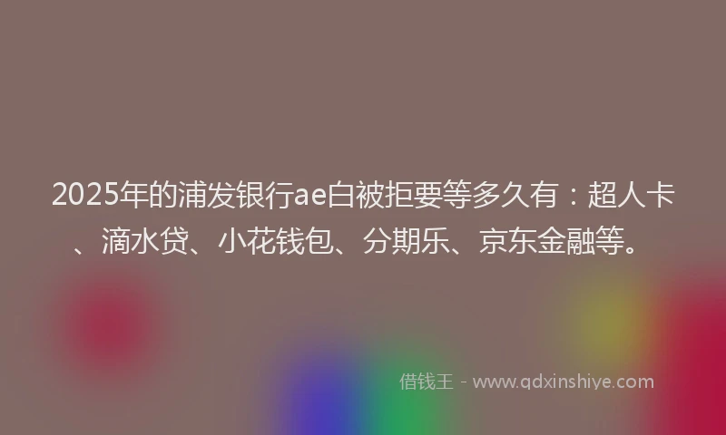 2025年的浦发银行ae白被拒要等多久有：超人卡、滴水贷、小花钱包、分期乐、京东金融等。