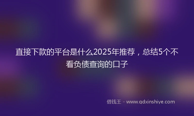 直接下款的平台是什么2025年推荐，总结5个不看负债查询的口子