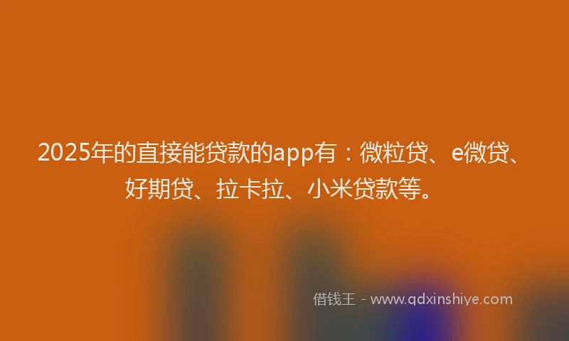 2025年的直接能贷款的app有：微粒贷、e微贷、好期贷、拉卡拉、小米贷款等。