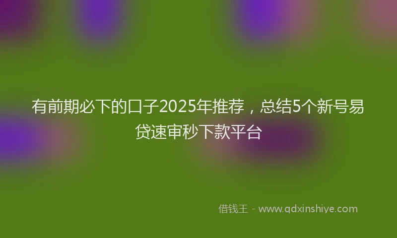 有前期必下的口子2025年推荐，总结5个新号易贷速审秒下款平台
