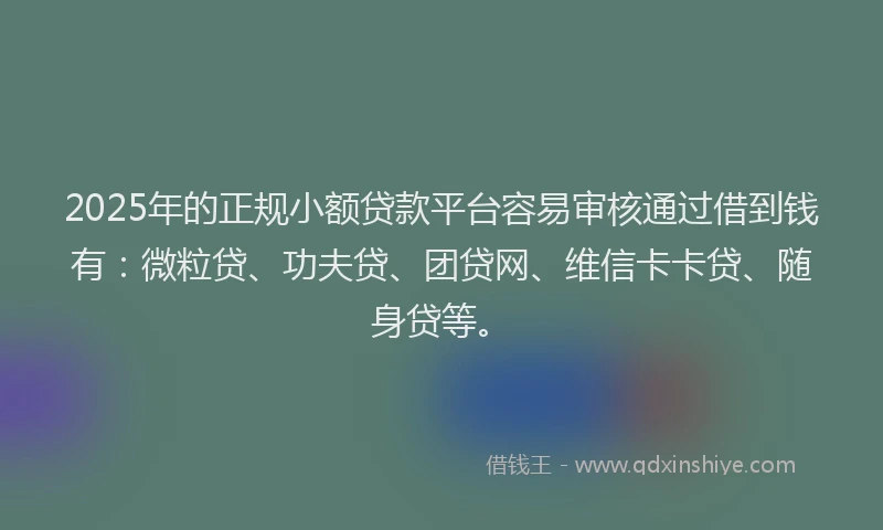 2025年的正规小额贷款平台容易审核通过借到钱有：微粒贷、功夫贷、团贷网、维信卡卡贷、随身贷等。