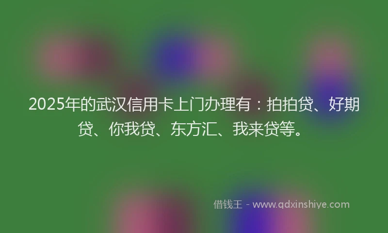 2025年的武汉信用卡上门办理有：拍拍贷、好期贷、你我贷、东方汇、我来贷等。