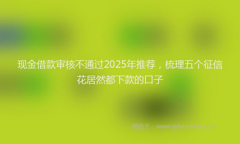 现金借款审核不通过2025年推荐，梳理五个征信花居然都下款的口子