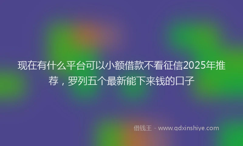 现在有什么平台可以小额借款不看征信2025年推荐，罗列五个最新能下来钱的口子