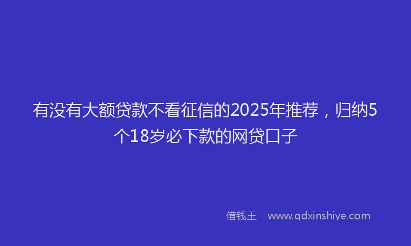 有没有大额贷款不看征信的2025年推荐，归纳5个18岁必下款的网贷口子