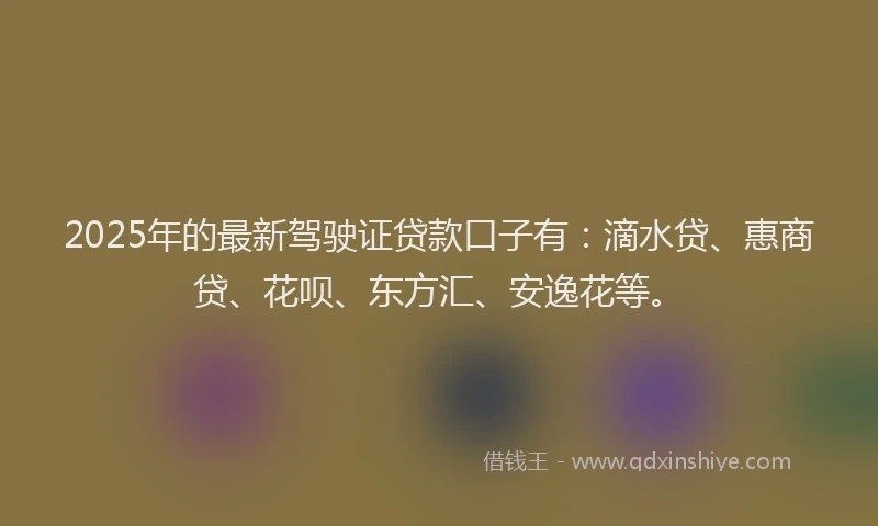 2025年的最新驾驶证贷款口子有：滴水贷、惠商贷、花呗、东方汇、安逸花等。