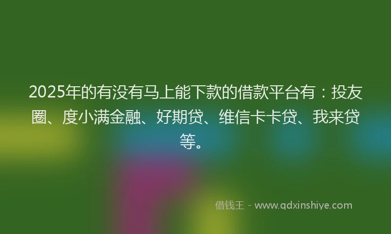 2025年的有没有马上能下款的借款平台有：投友圈、度小满金融、好期贷、维信卡卡贷、我来贷等。